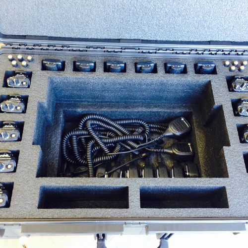 Hard cases with foam inserts are perfect  for keeping measurement, testing and
calibration equipment safe